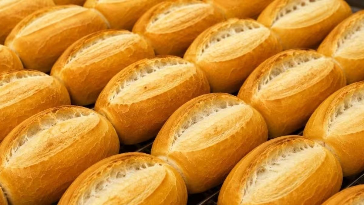 Vários pães franceses artesanais recém-assados dispostos alinhados em uma assadeira, exibindo casca dourada crocante e cortes superiores da pestana bem definidos.